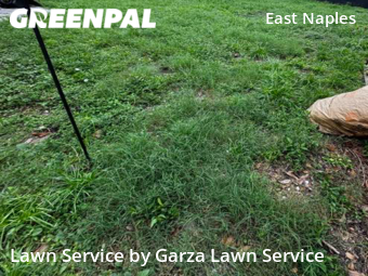Lawn Cut nearby Naples, FL, 