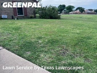 Lawn Mow nearby The Colony, TX, 