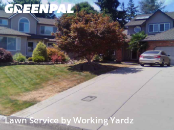 Weekly Mowing in Kent, 98031, Yard Care by Working Yardz, work completed in Nov , 2025