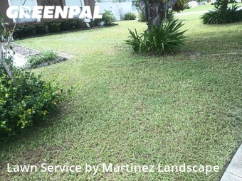 Grass Cutting nearby Clermont, FL, 