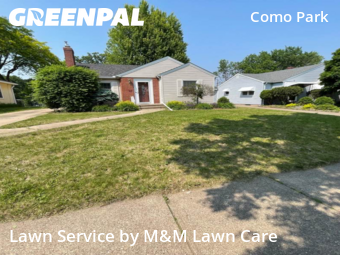 Yard Cutting nearby Saint Paul, MN, 