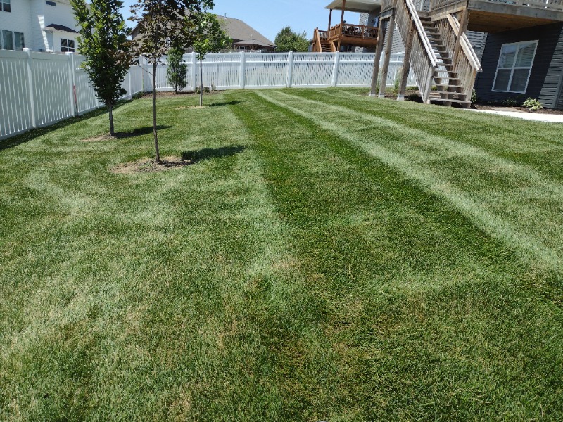 Tims Discount Lawn Lawn Care Services in Omaha, NE