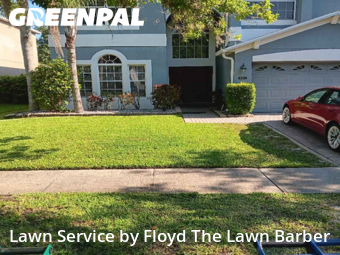 Lawn Cut nearby Orlando, FL, 