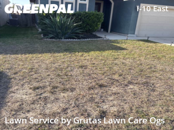 Grass Cutting nearby Converse, TX, 