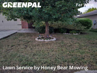 Grass Cut nearby San Antonio, TX, 