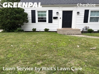 Lawn Maintenance nearby Grand Rapids, MI, 