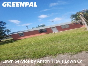 Lawn Cut nearby Port Charlotte, FL, 