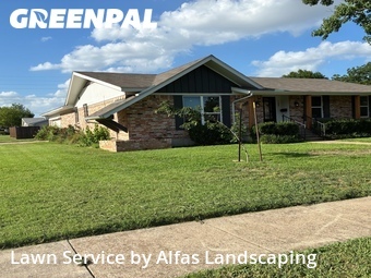 Lawn Carein Richardson,75080,Lawn Mow by Alfas Landscaping, work completed in Jun , 2026