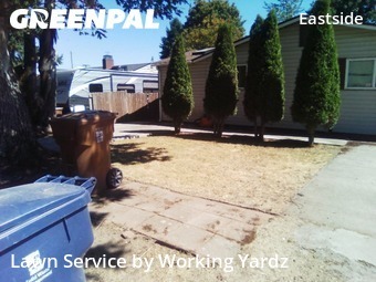 Grass Care in Tacoma, 98404, Yard Services by Working Yardz, work completed in Nov , 2025