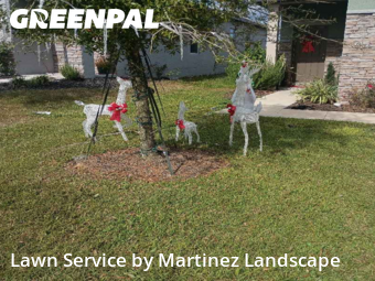 Lawn Care in Groveland, 34736, Property Maintenance by Martinez Landscape, work completed in Dec , 2025