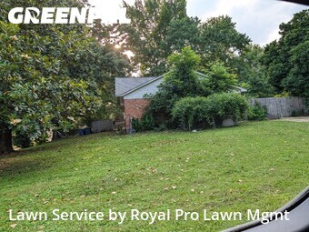 Yard Cutting nearby Olive Branch, MS, 