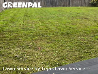 Lawn Mow nearby Andice, TX, 