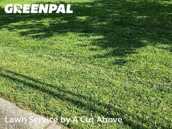 Lawn Cutting nearby Smyrna, TN, 