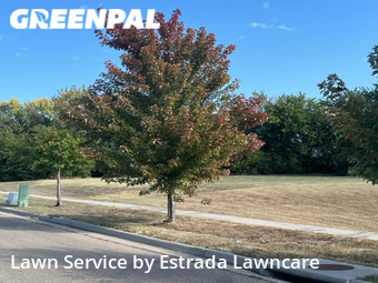 Yard Cutting nearby Topeka, KS, 