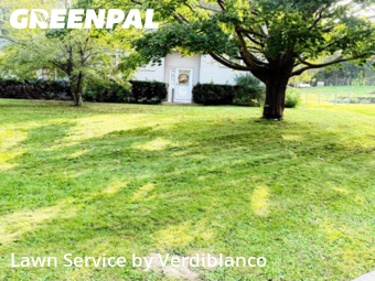 Lawn Mow nearby De Forest, WI, 