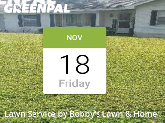 Lawn Cutting nearby Lakeland, FL, 