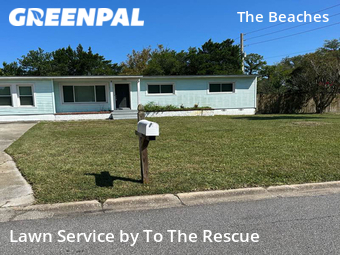 Yard Mowing nearby Jacksonville Beach, FL, 
