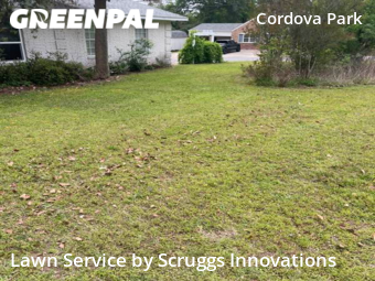Yard Cutting nearby Pensacola, GA, 