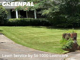 Lawn Mow nearby Decatur, GA, 