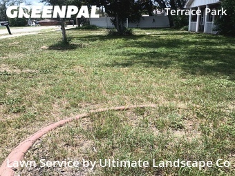 Lawn Mow nearby Tampa, FL, 