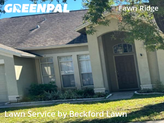 Lawn Mowing Service nearby Tampa, FL, 