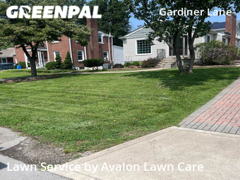 Lawn Cutting nearby Louisville, KY, 