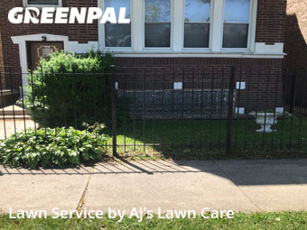 Yard Cutting nearby Chicago, IL, 