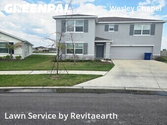 Grass Cutting nearby Wesley Chapel, FL, 
