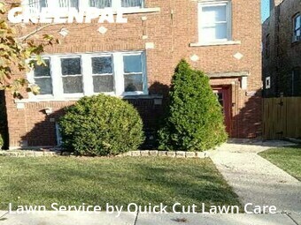 Grass Cut nearby Cicero, IL, 