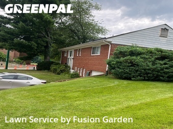 Grass Cutting nearby Silver Spring, MD, 