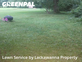 Lawn Mowing Service nearby Dickson City, PA, 