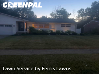 Yard Mowing nearby Lake View, NY, 