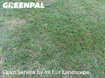 Grass Cut nearby Davie, FL, 
