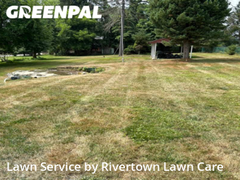 Lawn Mow nearby Pittsburgh, PA, 