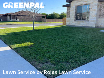 Yard Cutting nearby Harlingen, TX, 