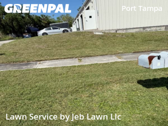 Lawn Service nearby Tampa, FL, 