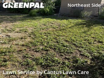 Landscaping In San Antonio,78239,Landscapers by Cantus Lawn Care , work completed in Jul , 2026