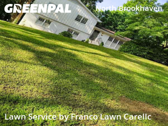 Lawn Mowing Service nearby Atlanta, GA, 