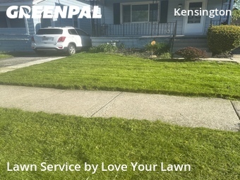 Lawn Cutting nearby Buffalo, NY, 