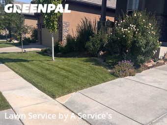 Grass Cut nearby Broomfield, CO, 