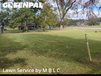 Grass Cut nearby Lafayette, LA, 