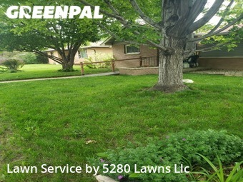 Yard Cutting nearby Longmont, CO, 