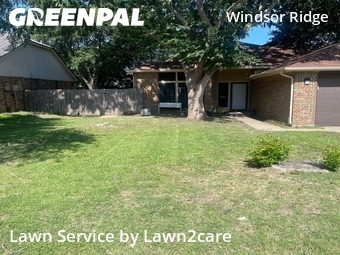 Lawn Mow nearby Denton, TX, 