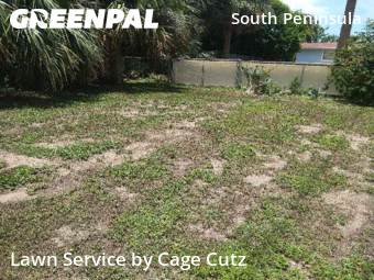 Yard Mowing nearby Daytona Beach, FL, 