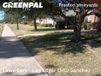 Lawn Care nearby Frisco, TX, 