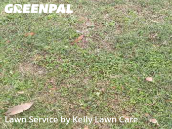Lawn Care nearby El Paso, AR, 