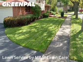 Front Yard Mowing in South Holland, 60473, Yard Grooming by M&M Lawn Care, work completed in Nov , 2025