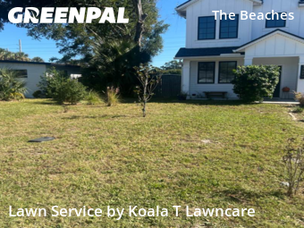 Lawn Cutin Jacksonville Beach,32250,Lawn Maintenance by Koala T Lawncare, work completed in Dec , 2025