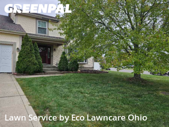 Yard Grooming in Reynoldsburg, 43068, Yard Care by Eco Lawncare Ohio, work completed in Oct , 2025