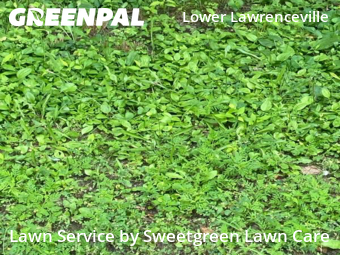 Lawn Maintenance nearby Pittsburgh, PA, 
